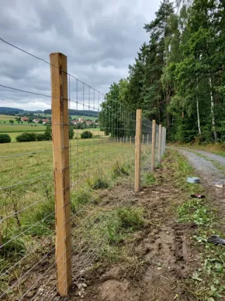 Wildzaun in Koblenz - fachgerechte Ausführung vor Ort
